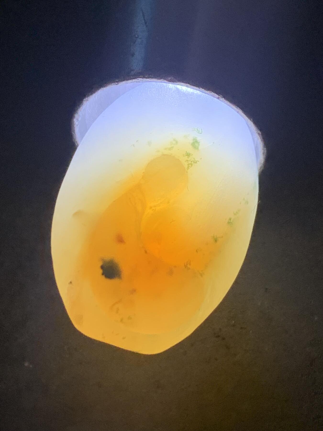 精美高玉化冰粉色草花纹亚光海洋玉髓手工俏色巧雕一心向佛珠子一个！