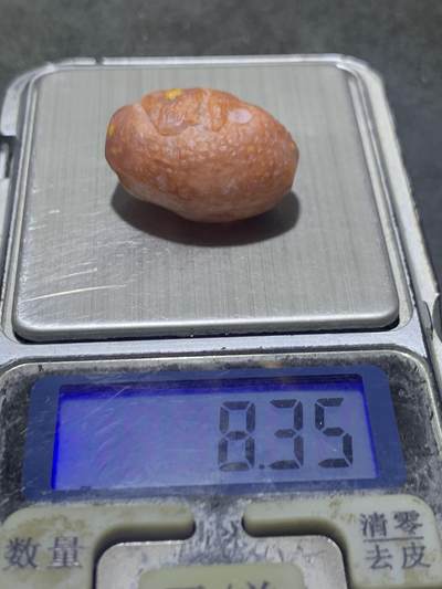 精美亚光战国红玛瑙手工俏色巧雕巨蟒灵蛇桶珠一个 精美亚光战国红玛瑙手工俏色巧雕巨蟒灵蛇桶珠一个