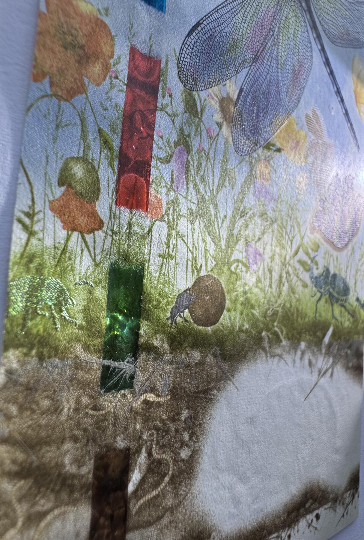 2026第2场（总第229期）：精品测试钞、连体钞综合场