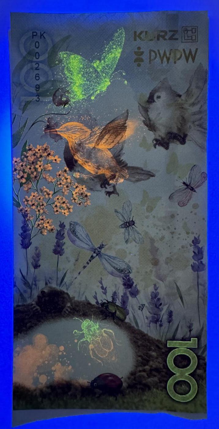 2026第2场（总第229期）：精品测试钞、连体钞综合场