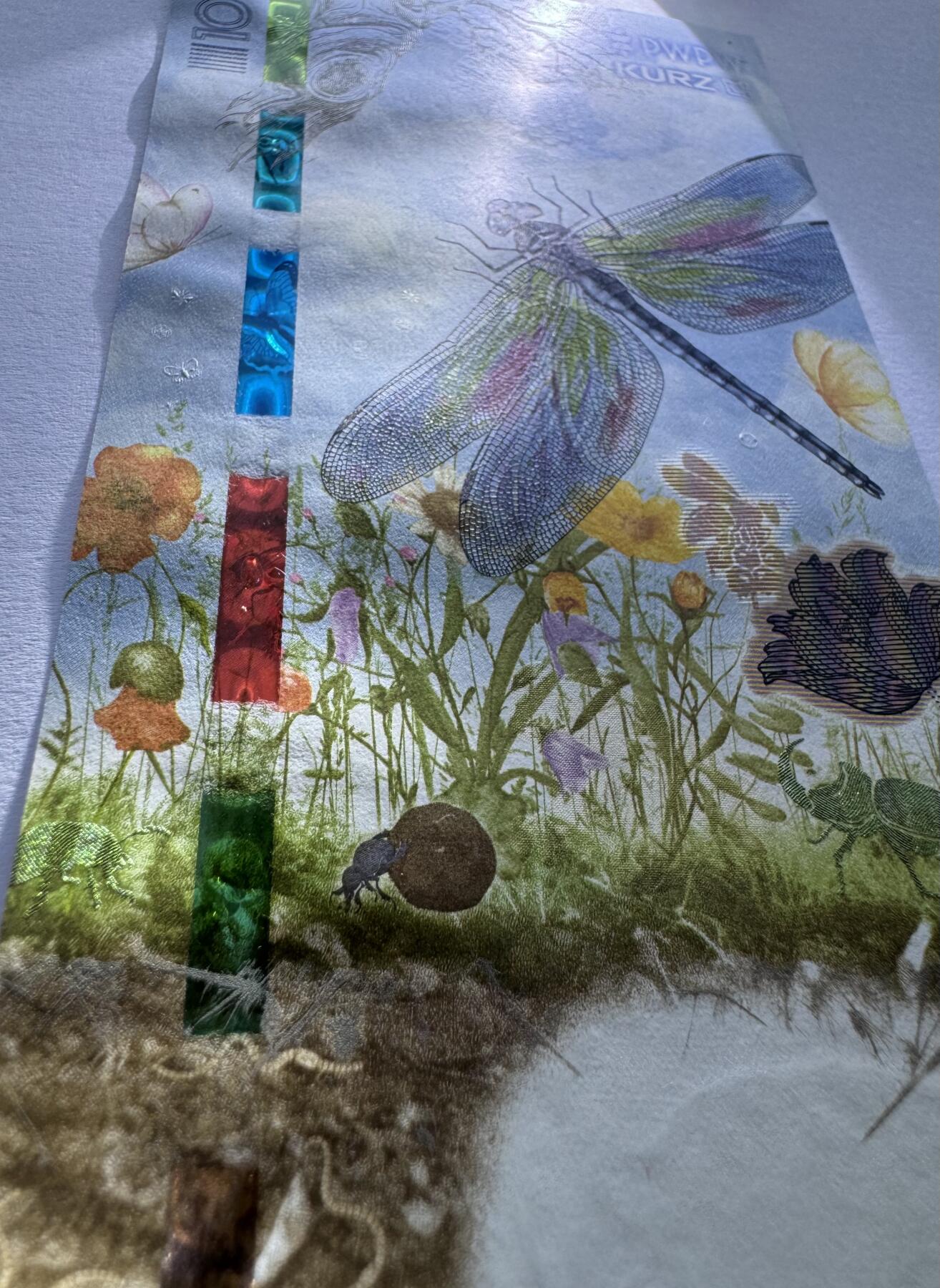 2026第2场（总第229期）：精品测试钞、连体钞综合场