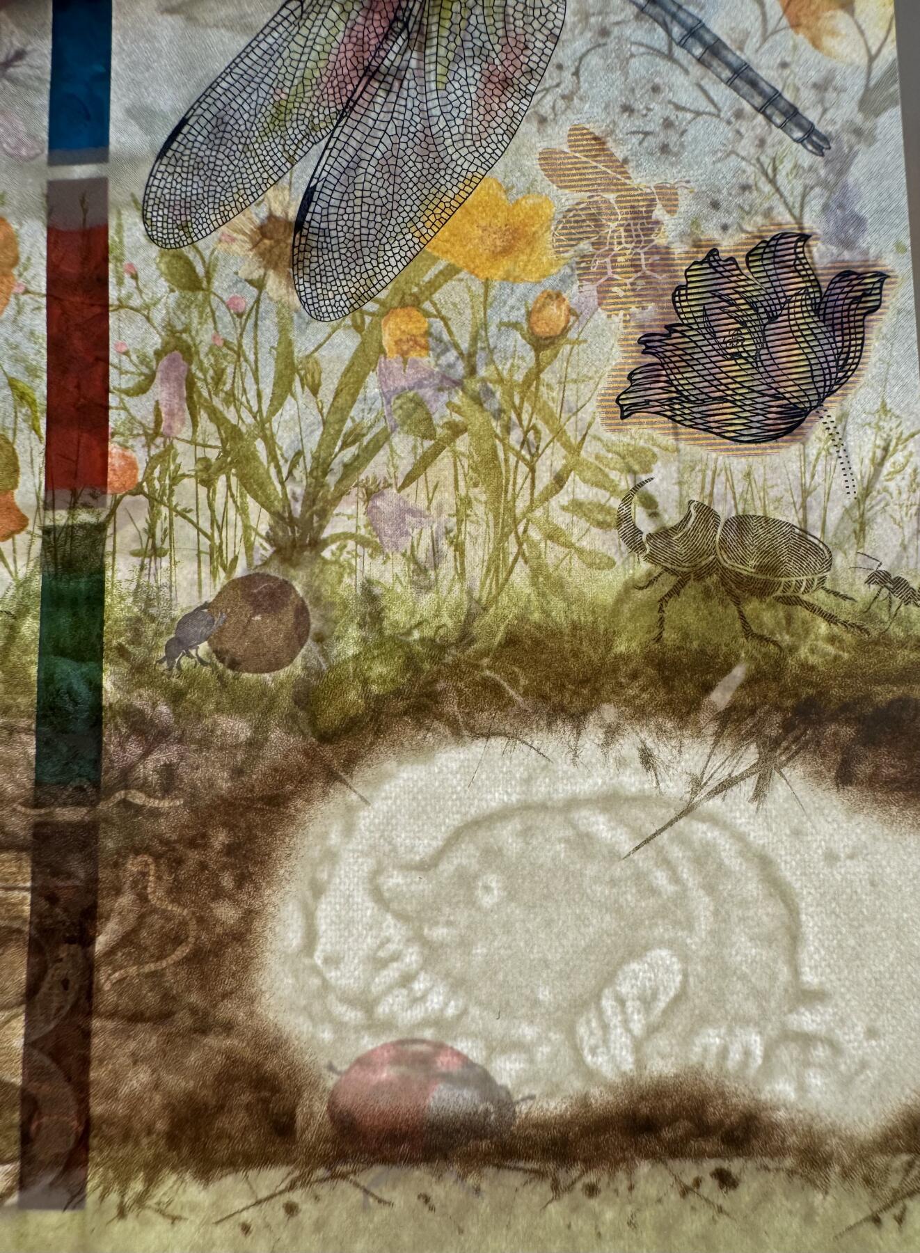 2026第2场（总第229期）：精品测试钞、连体钞综合场