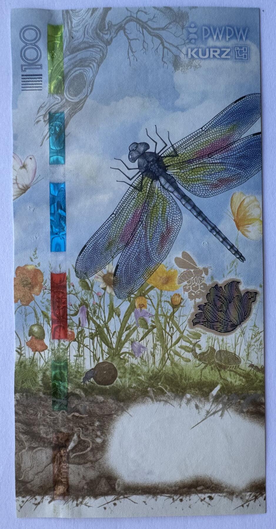 2026第2场（总第229期）：精品测试钞、连体钞综合场