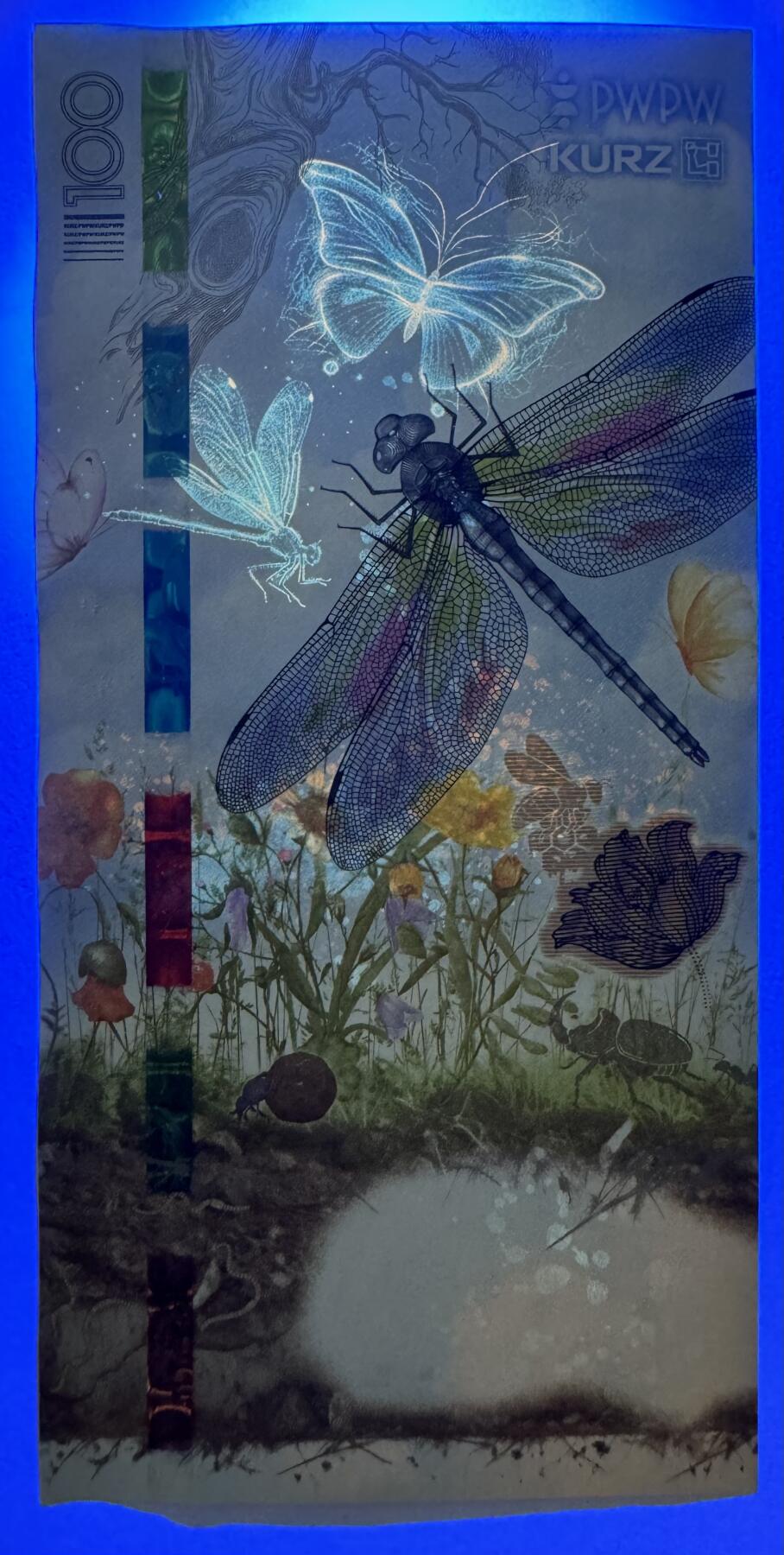 2026第2场（总第229期）：精品测试钞、连体钞综合场