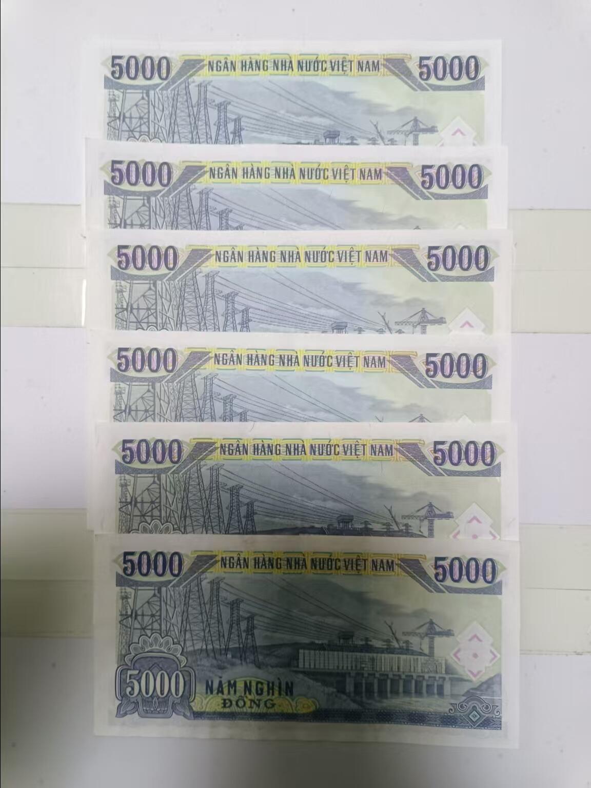 【20241219】非全新纸币第203场 越南5000盾6张纸币
