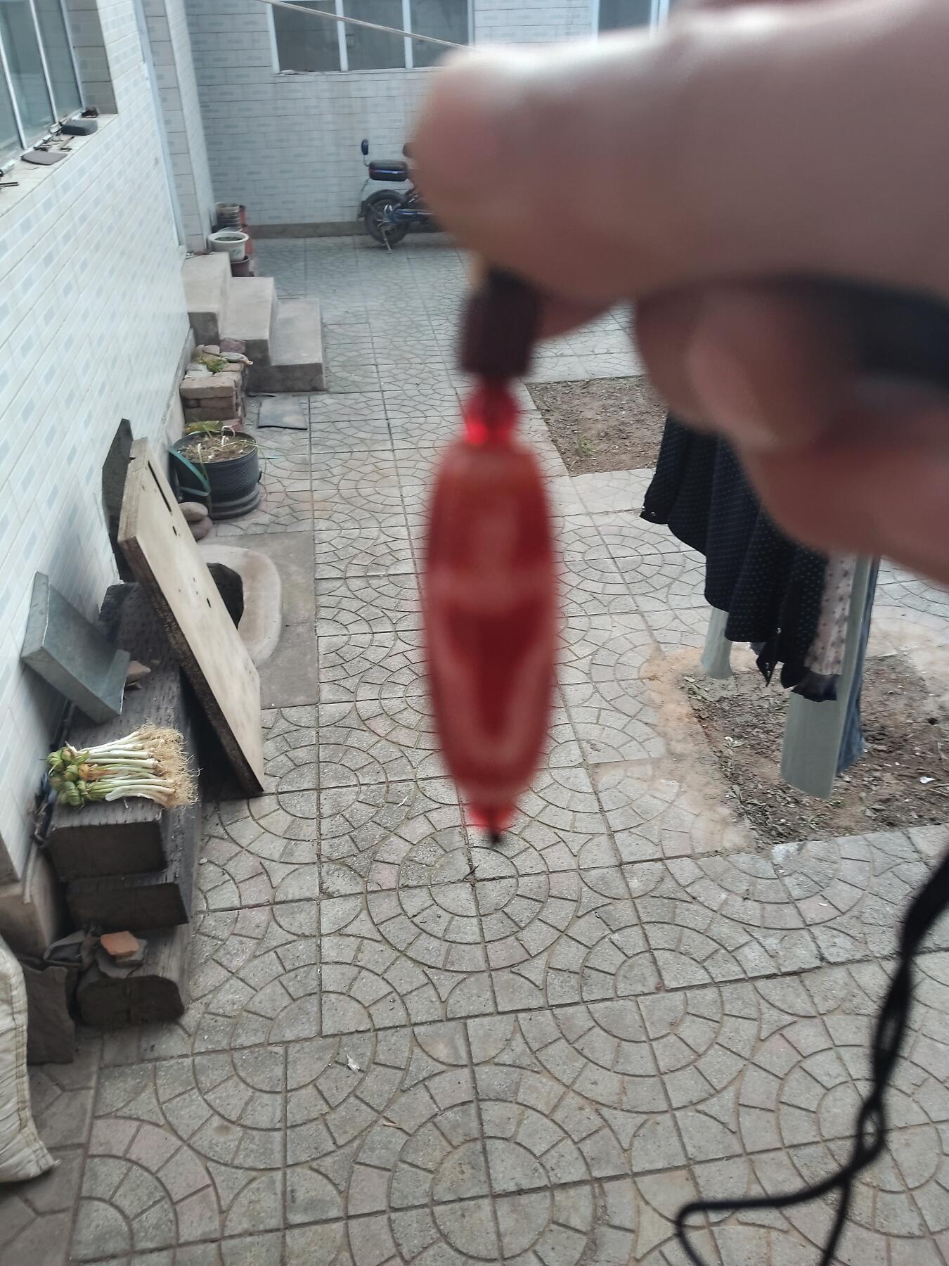 精品天珠专场 红肉菩提天珠带证书