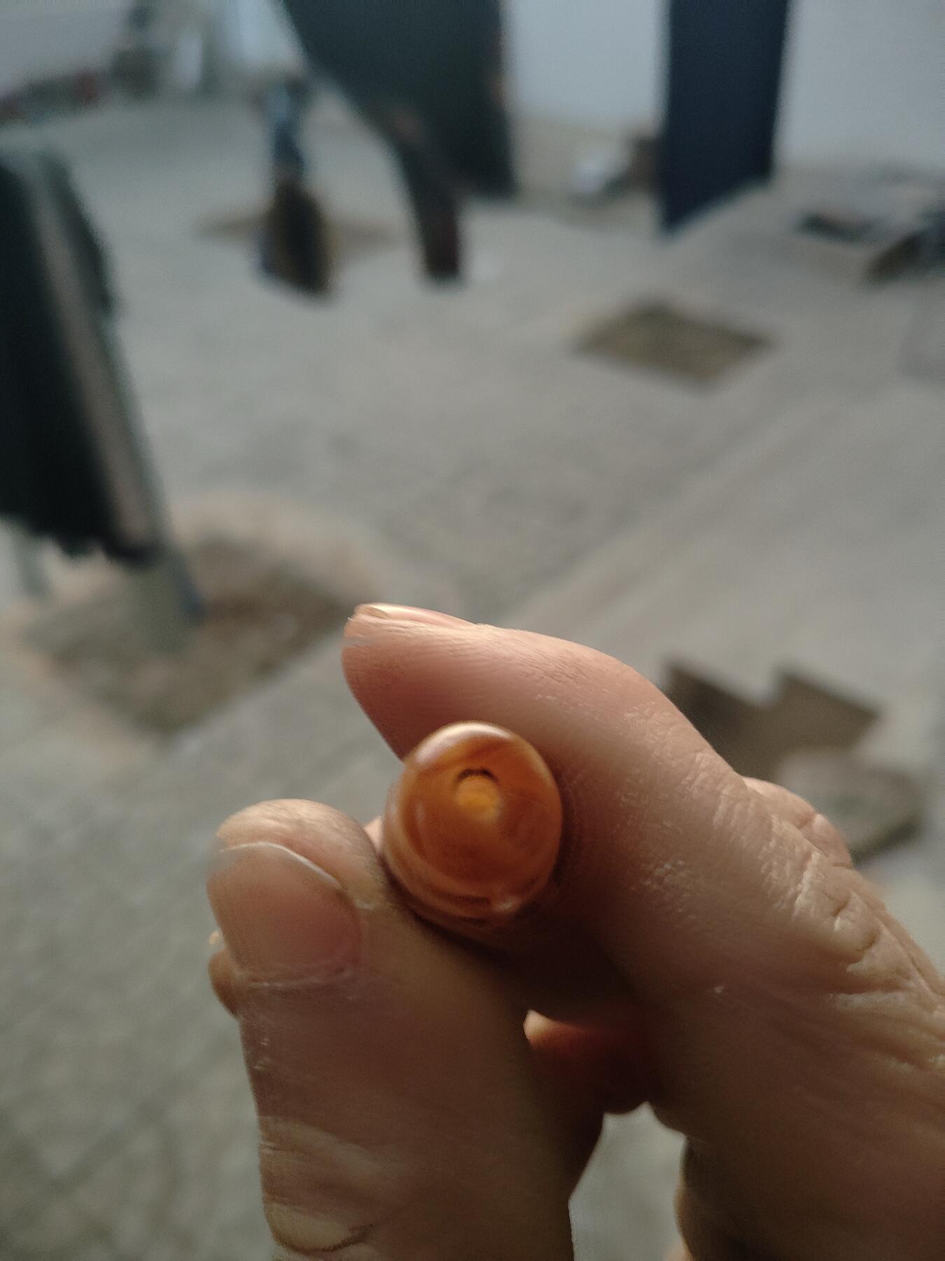 精品天珠专场 高油润三眼财霸天珠