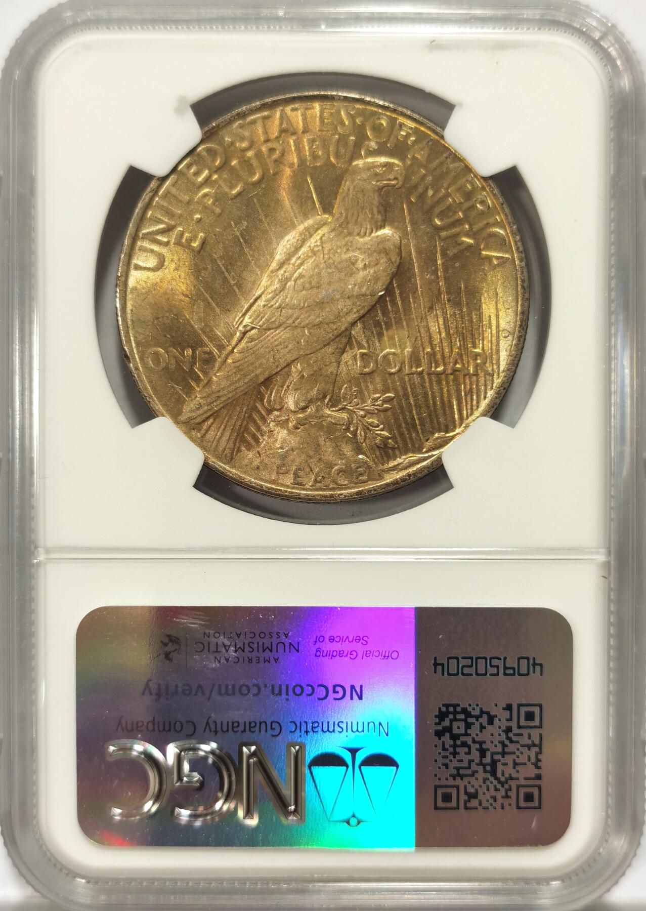 博洋堂世界钱币拍卖第104期（全场包邮） NGC MS63 美国1923年和平鸽1元银币