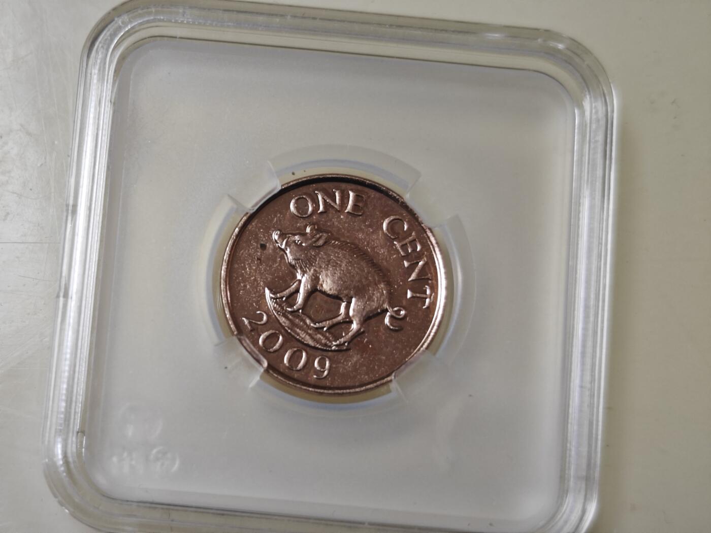 第十九期 英系散币小专场（满五十包邮，可寄存，有佣金） 百慕大一分