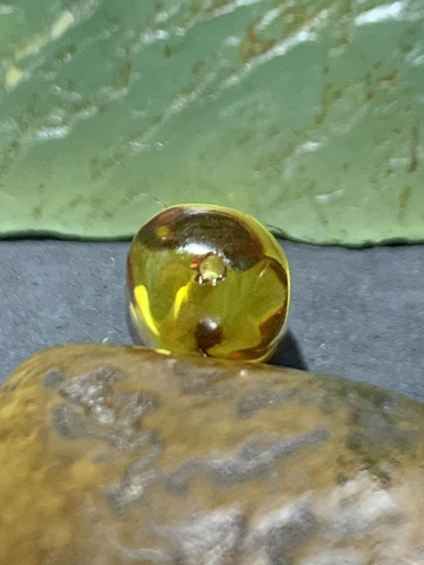 乌克兰花珀通货随形桶珠一个