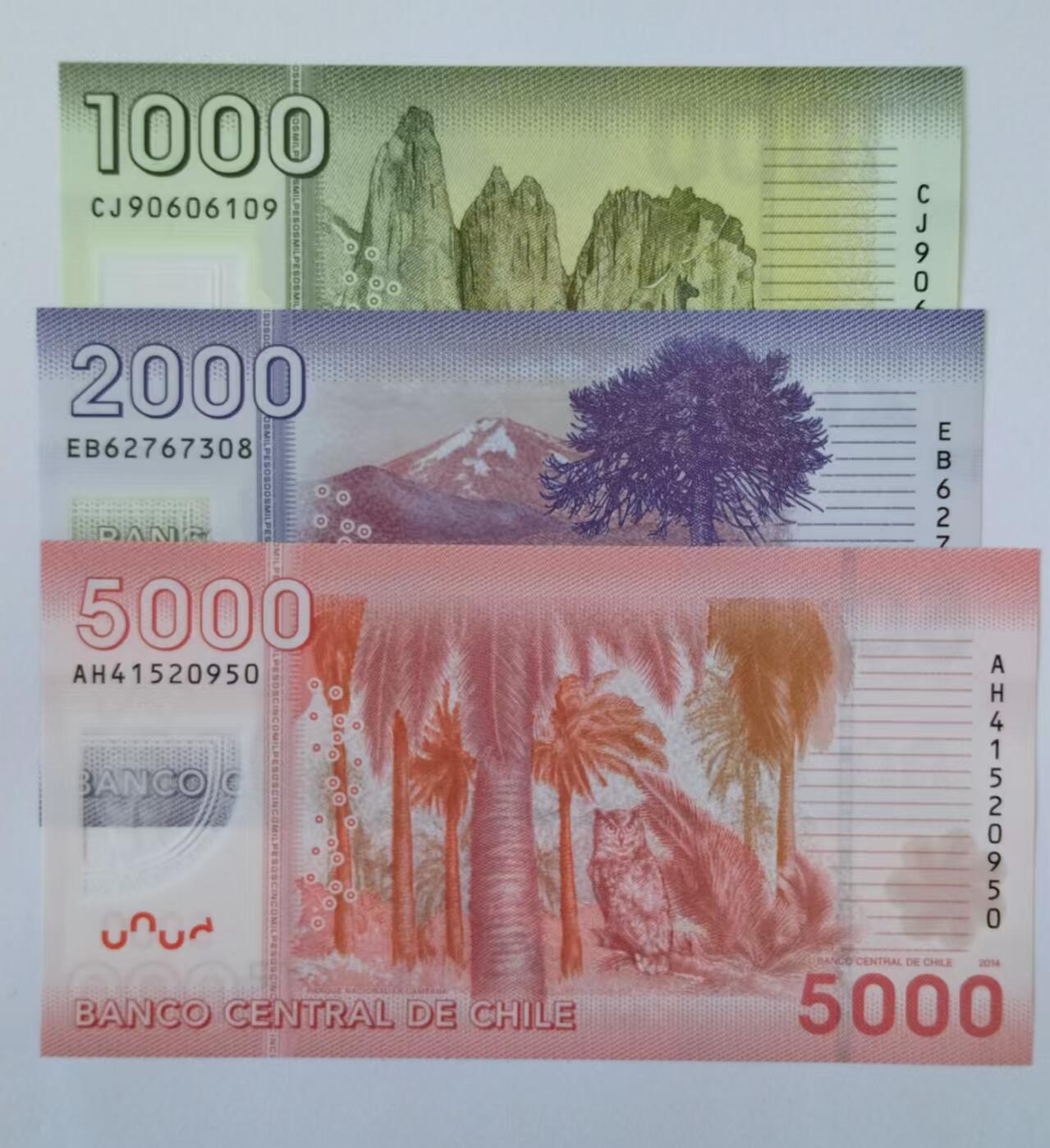 天和轩精品钱币第51场 全新unc  智利3张全套1000-2000-5000塑料钞