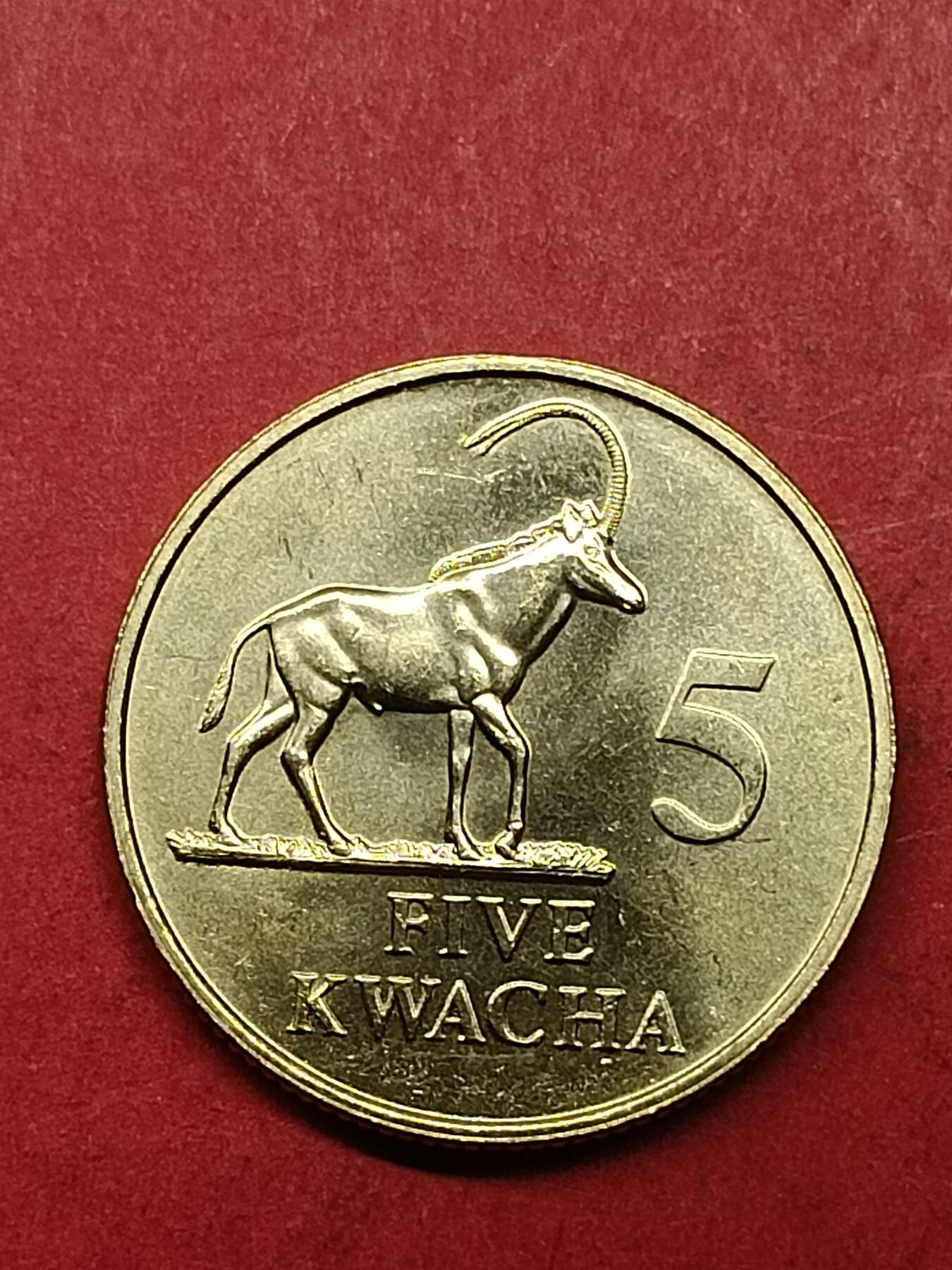 吉祥压岁钱外国硬币第40场 赞比亚硬币1992好品