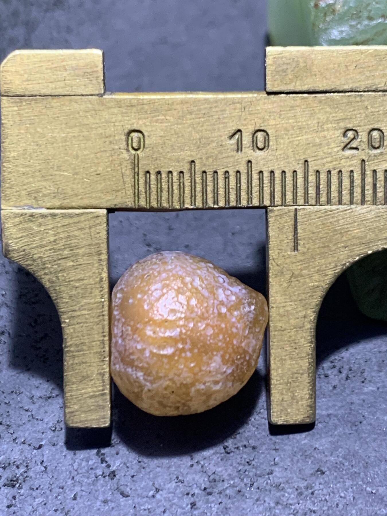 精美天然戈壁阿拉善奶油皮糖心寿桃形玛瑙原石一颗