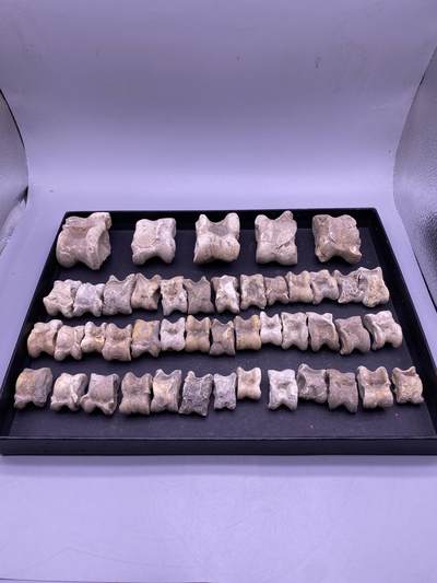 辽金遗址所出骨头嘎啦哈45个，尺寸2.7-6.3厘米，品相如图，200包快递 - 辽金遗址所出骨头嘎啦哈45个，尺寸2.7-6.3厘米，品相如图，200包快递