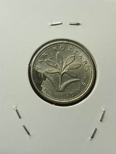 吉祥压岁钱外国硬币第42场 匈牙利硬币1993