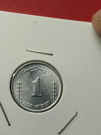 吉祥压岁钱外国硬币第42场 巴基斯坦硬币1971