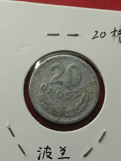 吉祥压岁钱外国硬币第42场 波兰硬币1961