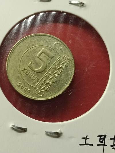 吉祥压岁钱外国硬币第42场 土耳其硬币2009