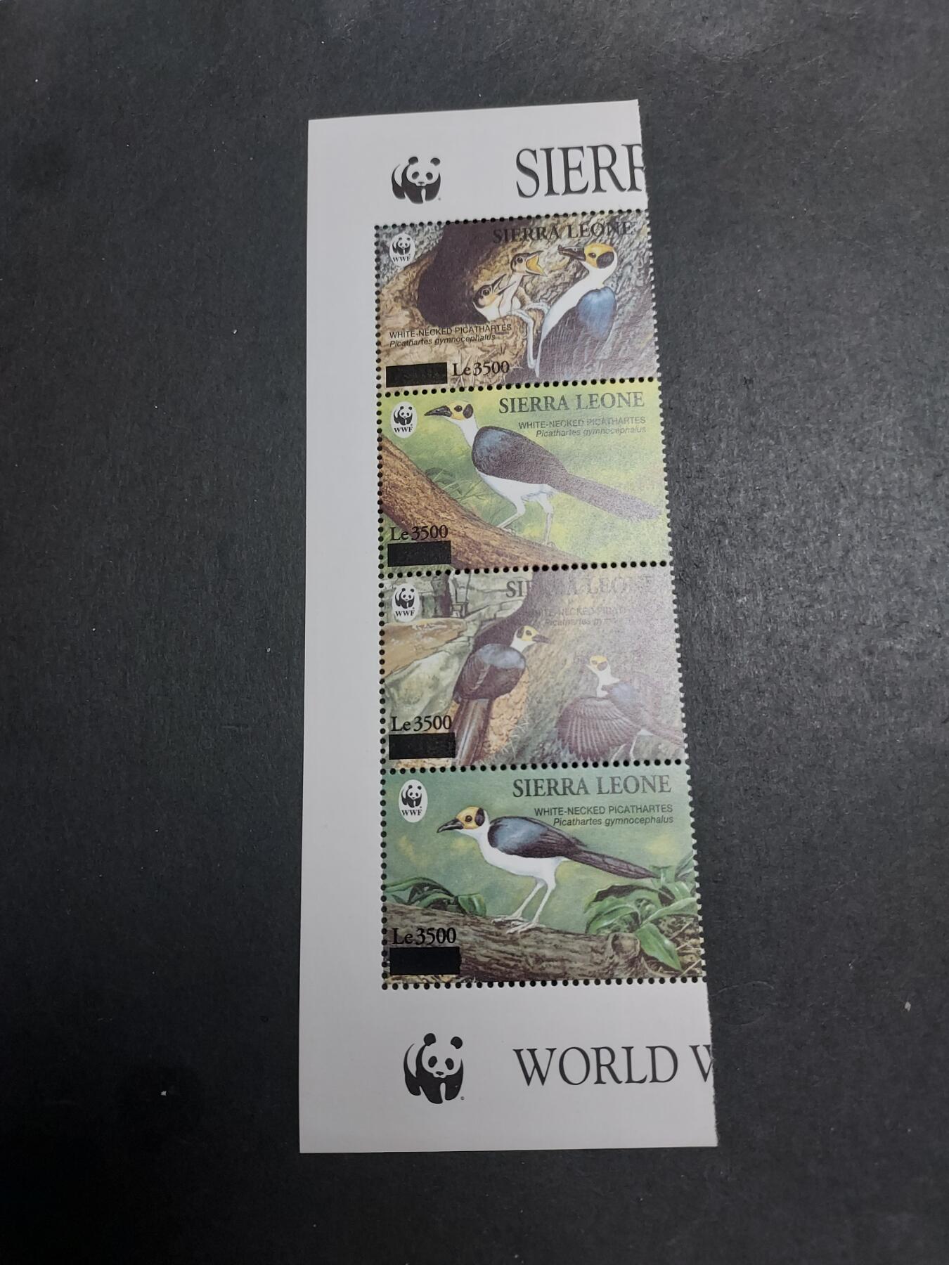 理想集藏/博彦收藏2月27日邮票专场 Sierra Leone WWF 鸟类票一套全新