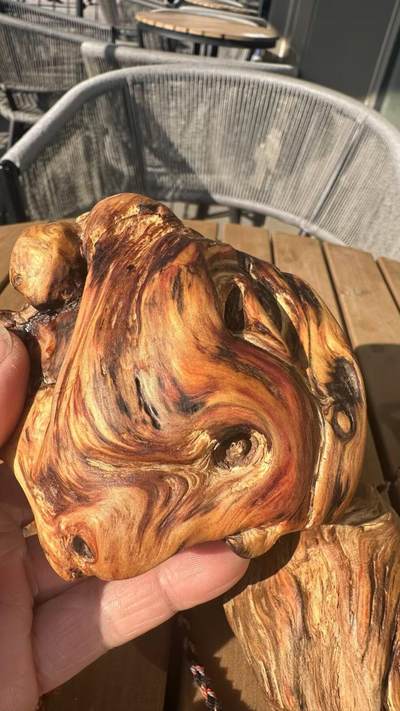 琥珀木一枚 油性十足  - 琥珀木一枚 油性十足 