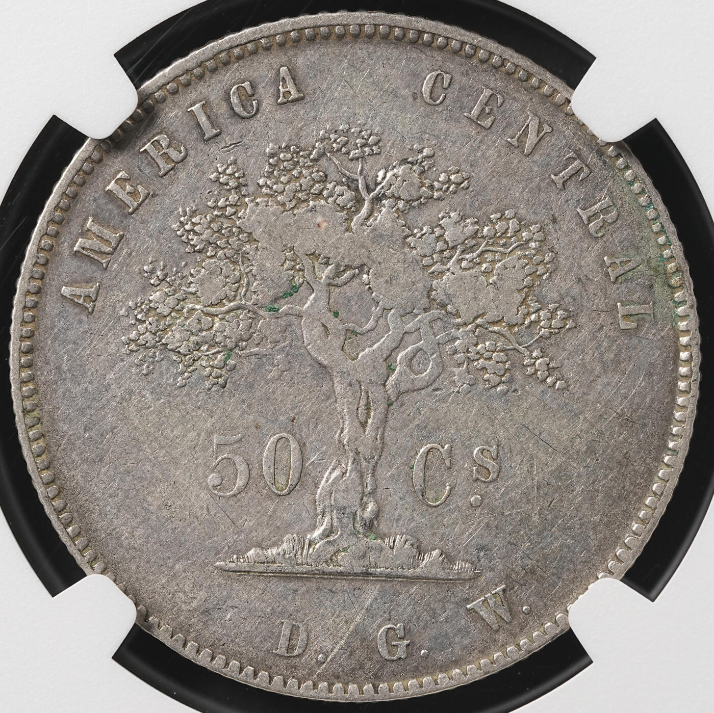 修遠堂世界钱币第五十二期 全场包邮 NGC XFD 1875年哥斯达黎加50分银币 仅仅铸造了6.9万枚 存世少见 轻微老洗