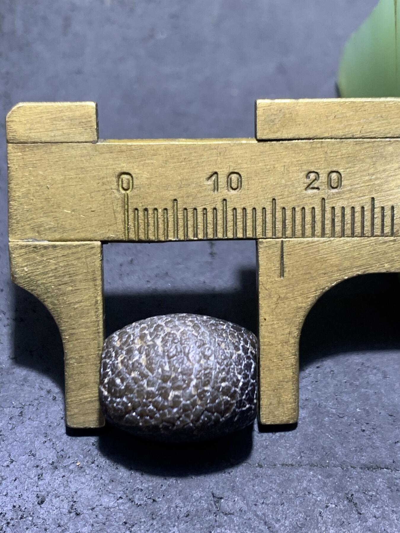 精美药师玛瑙龙鳞风化纹桶珠一个 精美药师玛瑙龙鳞风化纹桶珠一个