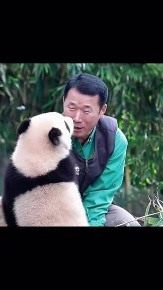 零元拍：深受爱戴的福宝饲养员“姜爷爷”亲笔签名《福宝永远爱你》！爱宝乐园不签名的都代购不到了，更别说签名版，赶紧行动给你的爱人拿下这最浪漫的圣诞礼物！🎄🎁🐼 