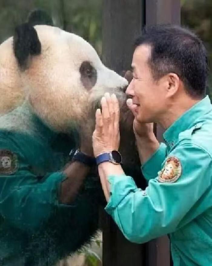 零元拍：深受爱戴的福宝饲养员“姜爷爷”亲笔签名《福宝永远爱你》！爱宝乐园不签名的都代购不到了，更别说签名版，赶紧行动给你的爱人拿下这最浪漫的圣诞礼物！🎄🎁🐼 