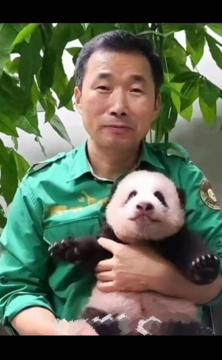 零元拍：深受爱戴的福宝饲养员“姜爷爷”亲笔签名《福宝永远爱你》！爱宝乐园不签名的都代购不到了，更别说签名版，赶紧行动给你的爱人拿下这最浪漫的圣诞礼物！🎄🎁🐼 