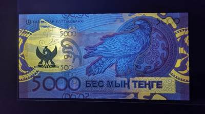 《张总收藏》181期-外币精品百拍特别场 哈萨克斯坦2023年AA冠5000坚戈UNC数三无347 金雕，今年IBNS获奖大热品种