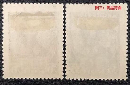 各国首次发行 —— 苏联第一套邮票，1918年11月7日，斩断枷锁获得解放，2枚一套全，新  （店内编号119） 各国首次发行 —— 苏联第一套邮票，1918年11月7日，斩断枷锁获得解放，2枚一套全，新  （店内编号119）