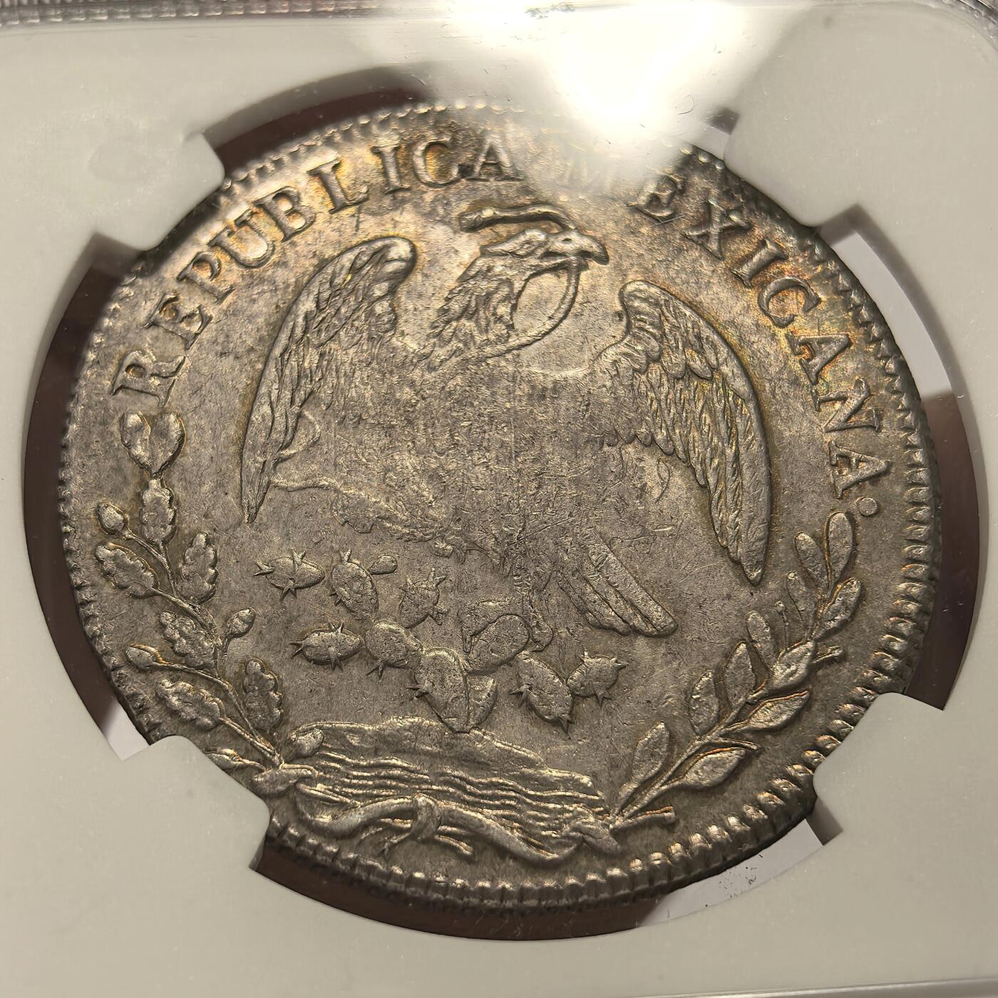 博洋堂“冬暖念安”年末精品专场暨第105期（全场包邮）