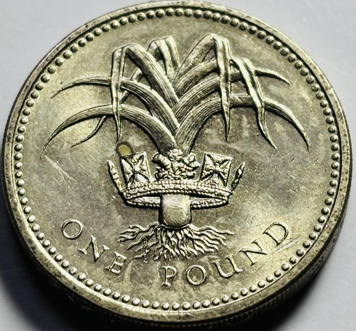 文馨钱币收藏第 203 场，英系套册纪念币，古铜币 少见好品 1990 年英国老版 1 镑，威尔士韭葱