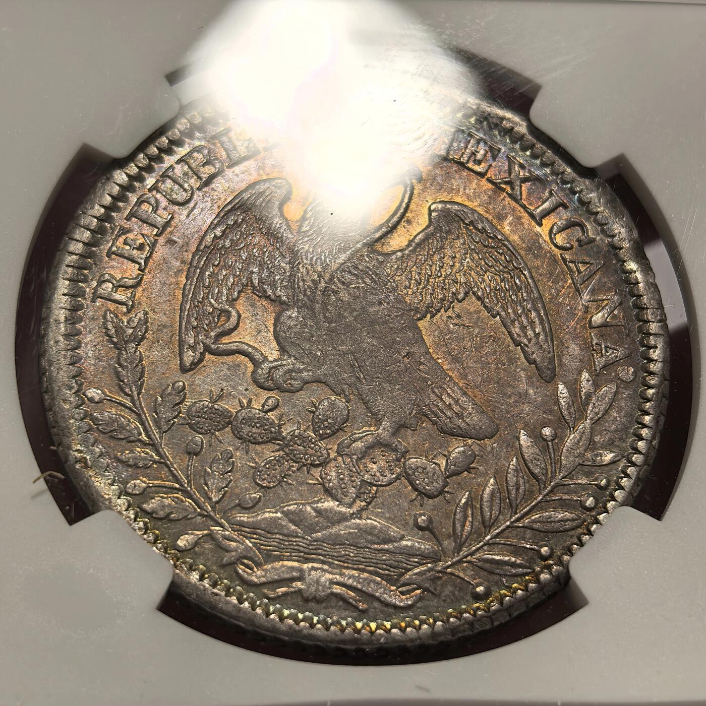 博洋堂“冬暖念安”年末精品专场暨第105期（全场包邮）