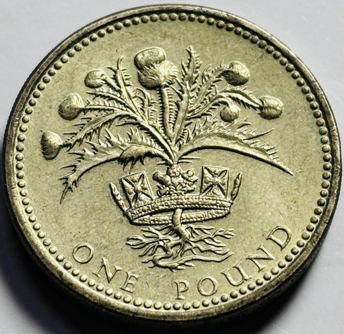 文馨钱币收藏第 203 场，英系套册纪念币，古铜币 稀少好品 1989 年英国老版 1 镑， 苏格兰蓟皇冠