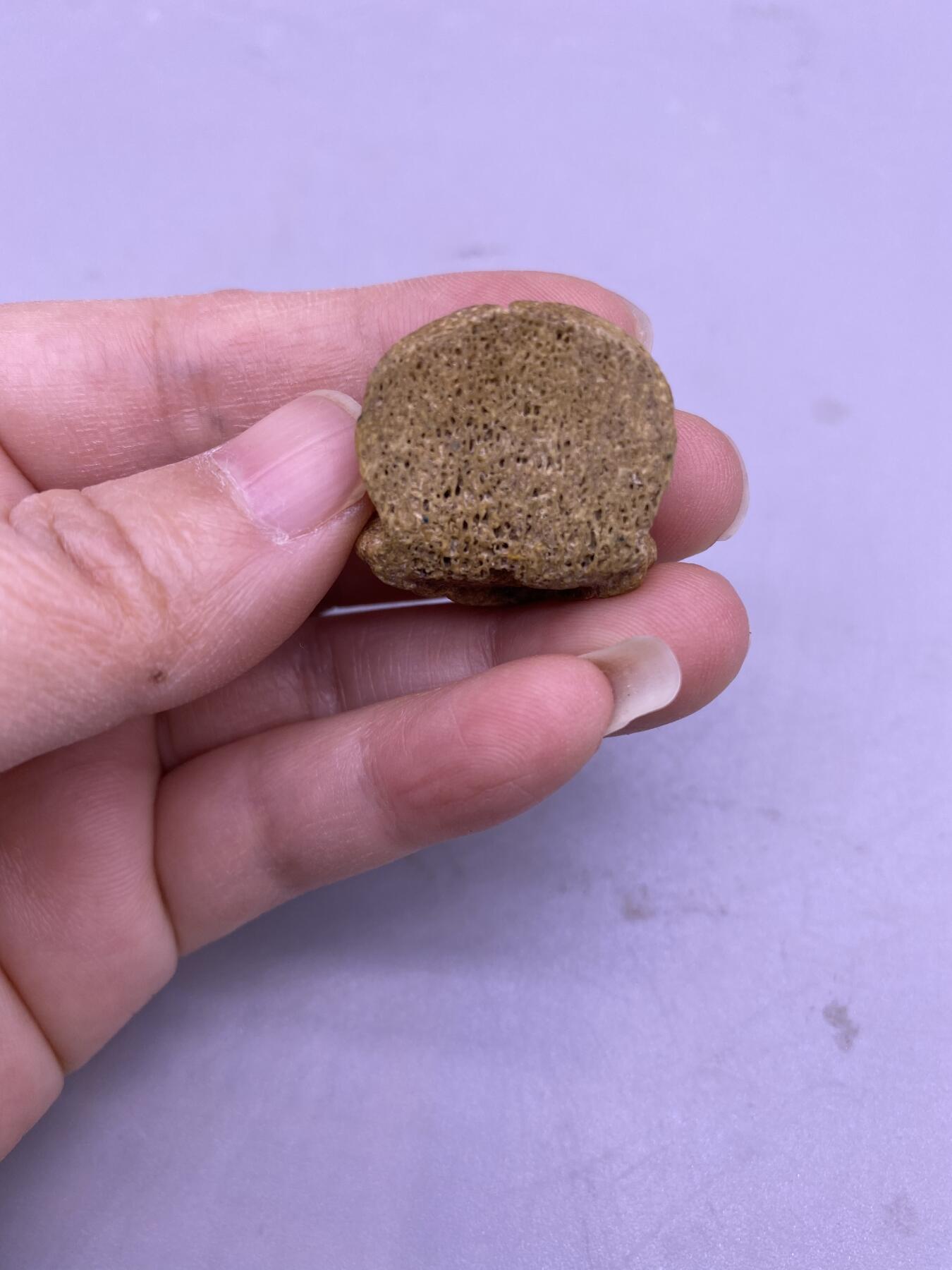 藏传骨雕尸陀林，尺寸2.4*2.3厘米，品相如图，500包快递