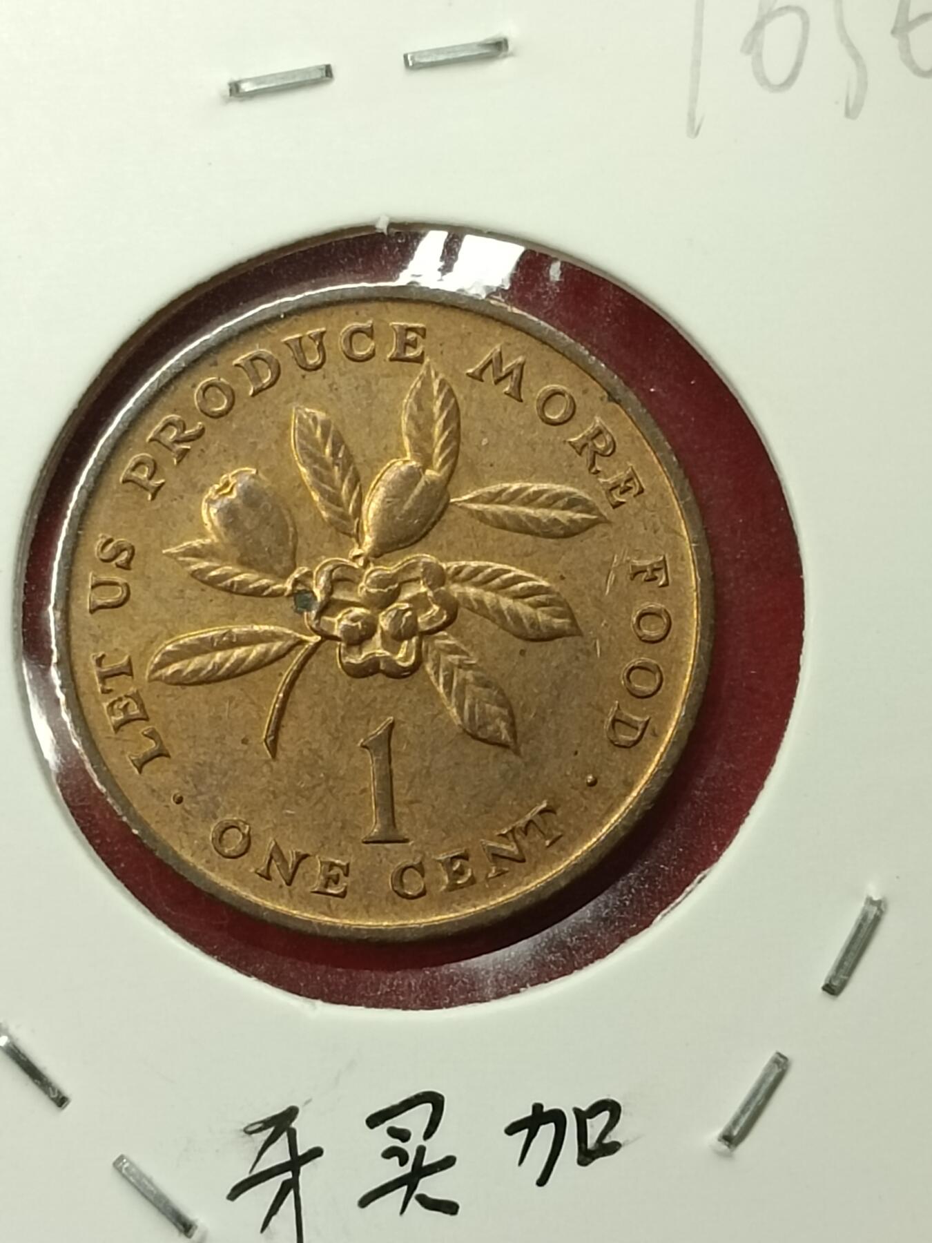吉祥压岁钱外国硬币第45场 牙买加硬币1973