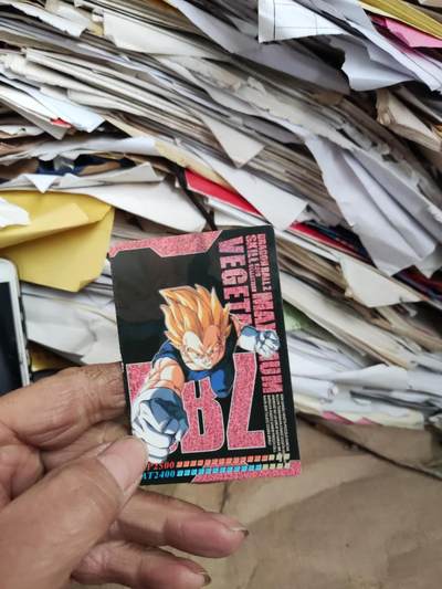 贝吉塔卡（8.5品左右） - 贝吉塔卡（8.5品左右）