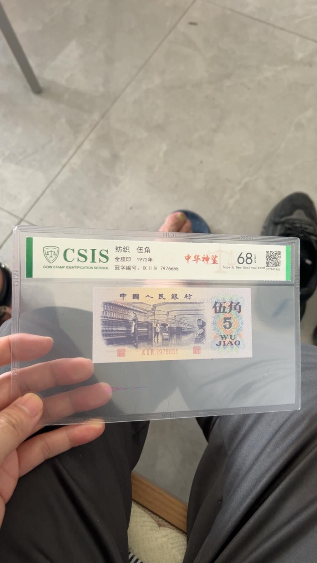中华神鲨