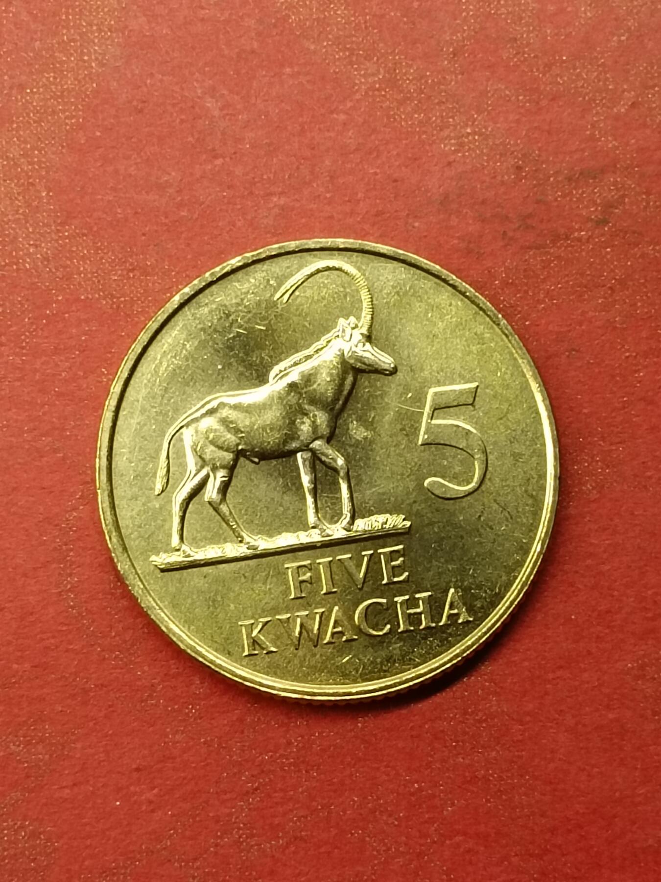 吉祥压岁钱外国硬币第46场 赞比亚硬币1992好品