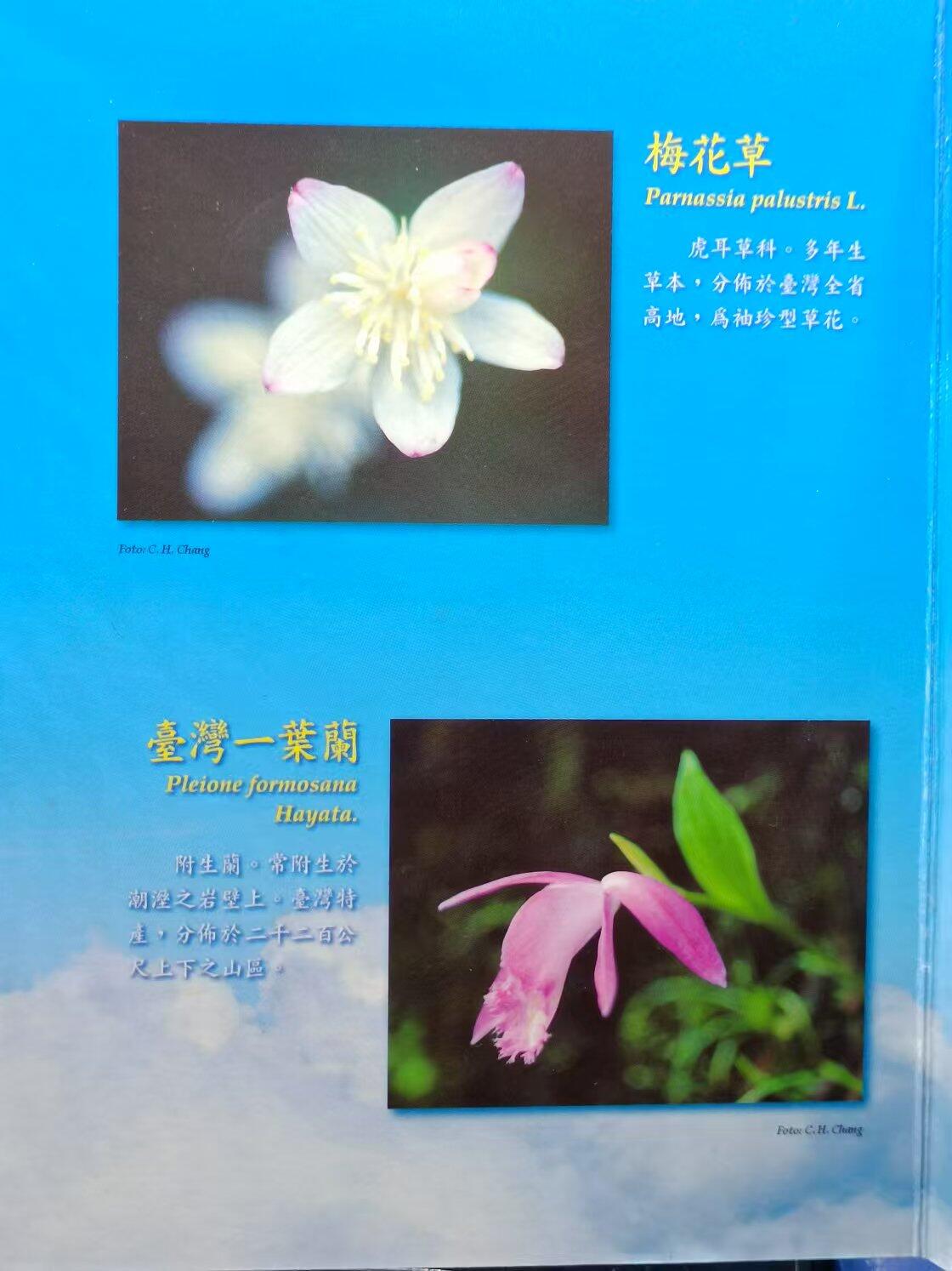 【淘币小摊】实时拍第七百零一拍  银币套币场  满百包邮可预留二周 每周一统一发货   台湾省中华民国八十四年新台币蝴蝶套币