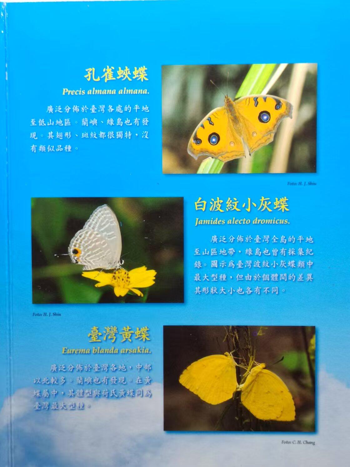 【淘币小摊】实时拍第七百零一拍  银币套币场  满百包邮可预留二周 每周一统一发货   台湾省中华民国八十四年新台币蝴蝶套币
