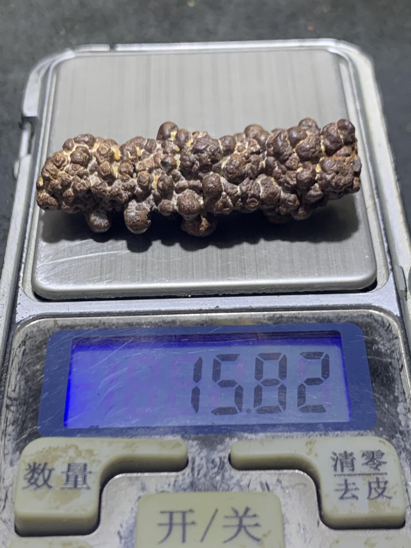 精美罕见红皮鱼籽纹戈壁黑金刚原石一块