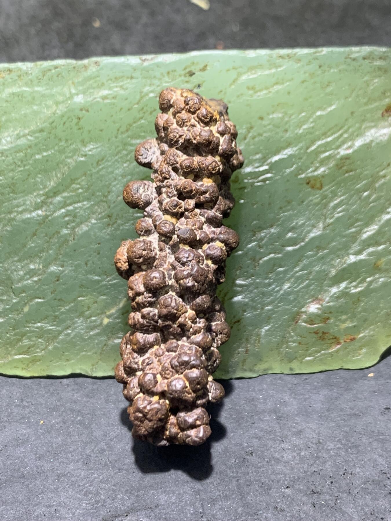 精美罕见红皮鱼籽纹戈壁黑金刚原石一块