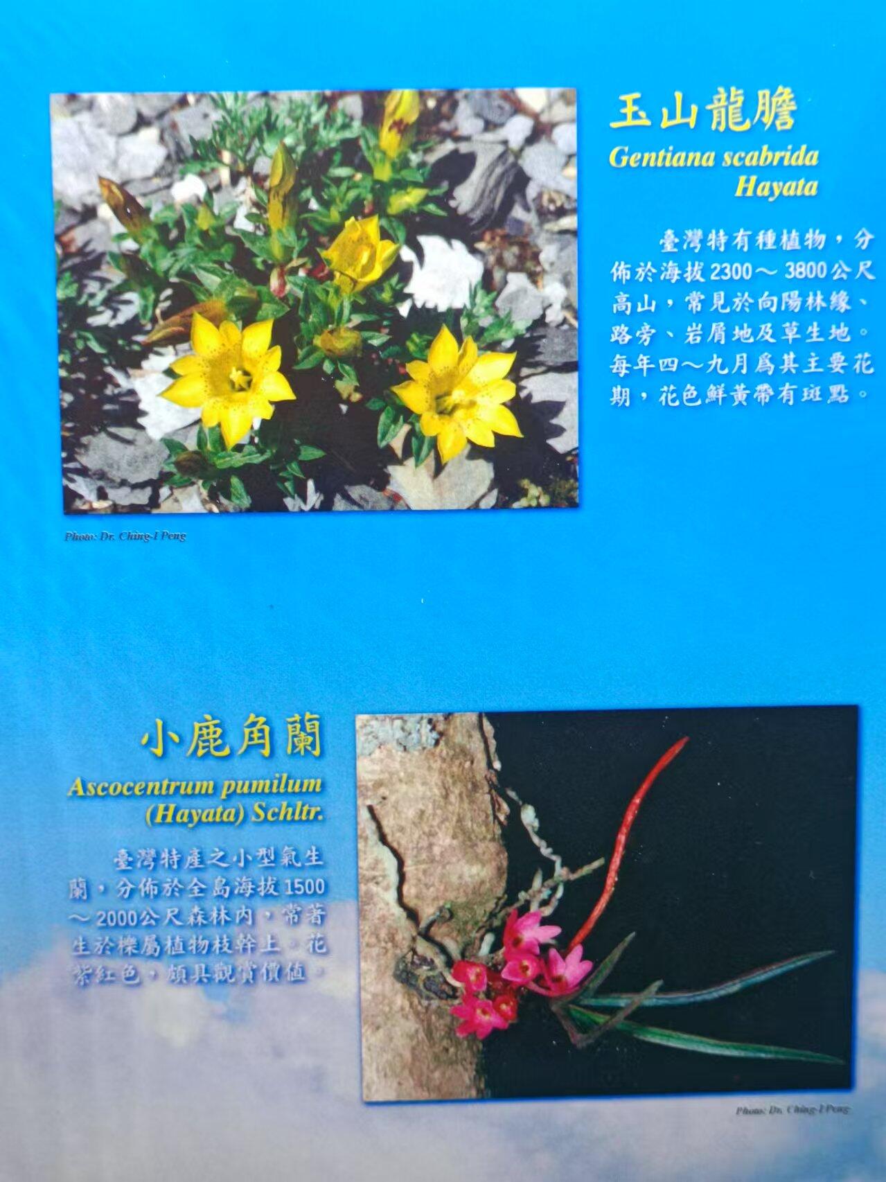 【淘币小摊】实时拍第七百零一拍  银币套币场  满百包邮可预留二周 每周一统一发货   台湾省中华民国八十六年新台币蝴蝶套币