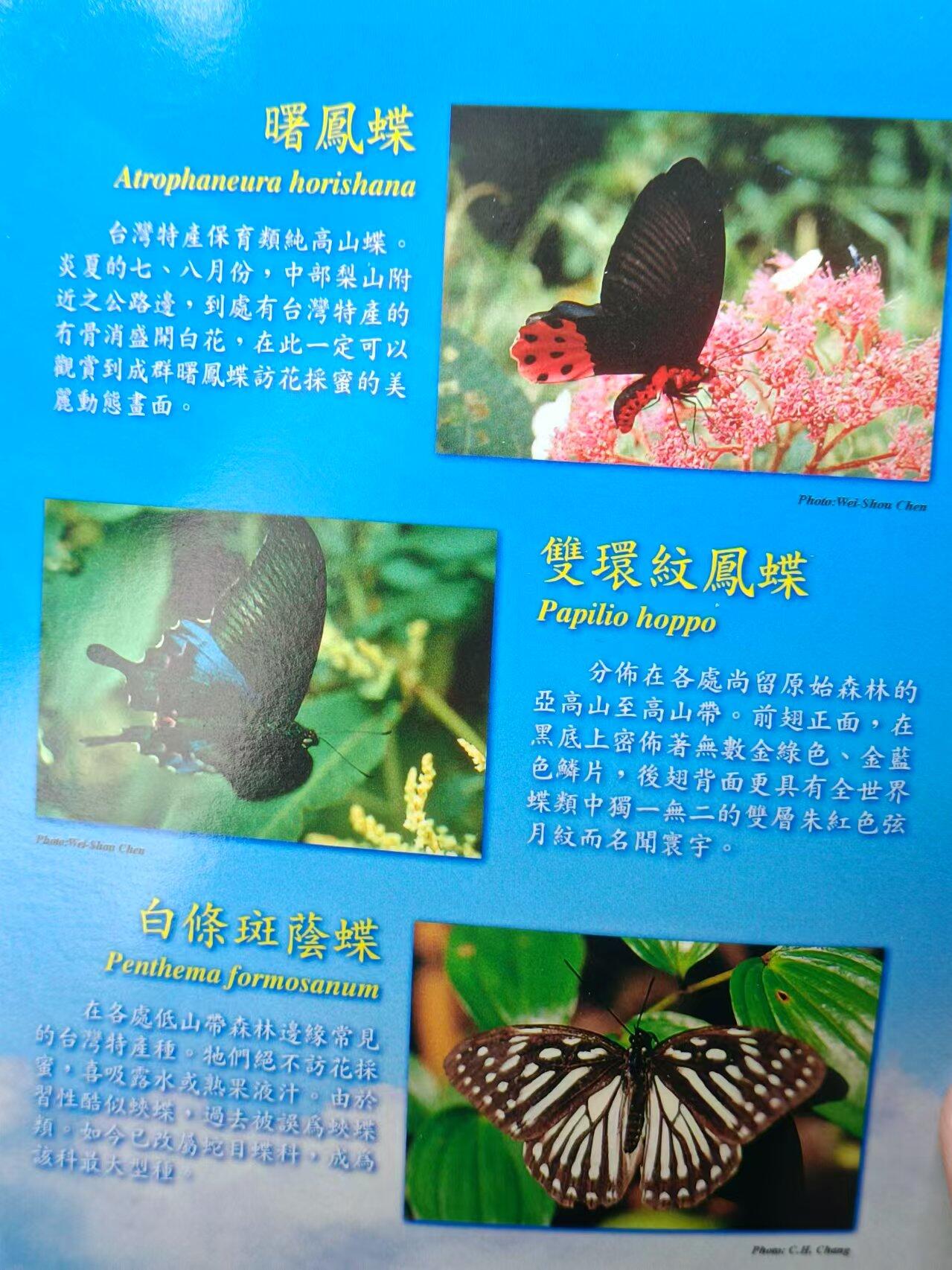 【淘币小摊】实时拍第七百零一拍  银币套币场  满百包邮可预留二周 每周一统一发货   台湾省中华民国八十六年新台币蝴蝶套币