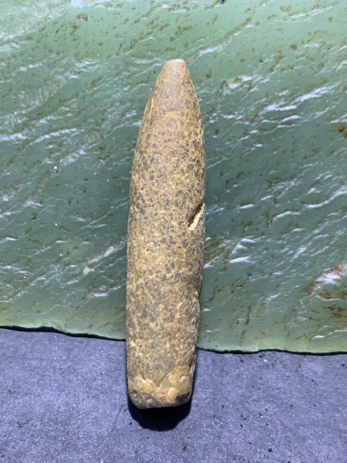 精美天然箭石震笔石震旦角石喇叭角石古生物化石原石一颗，