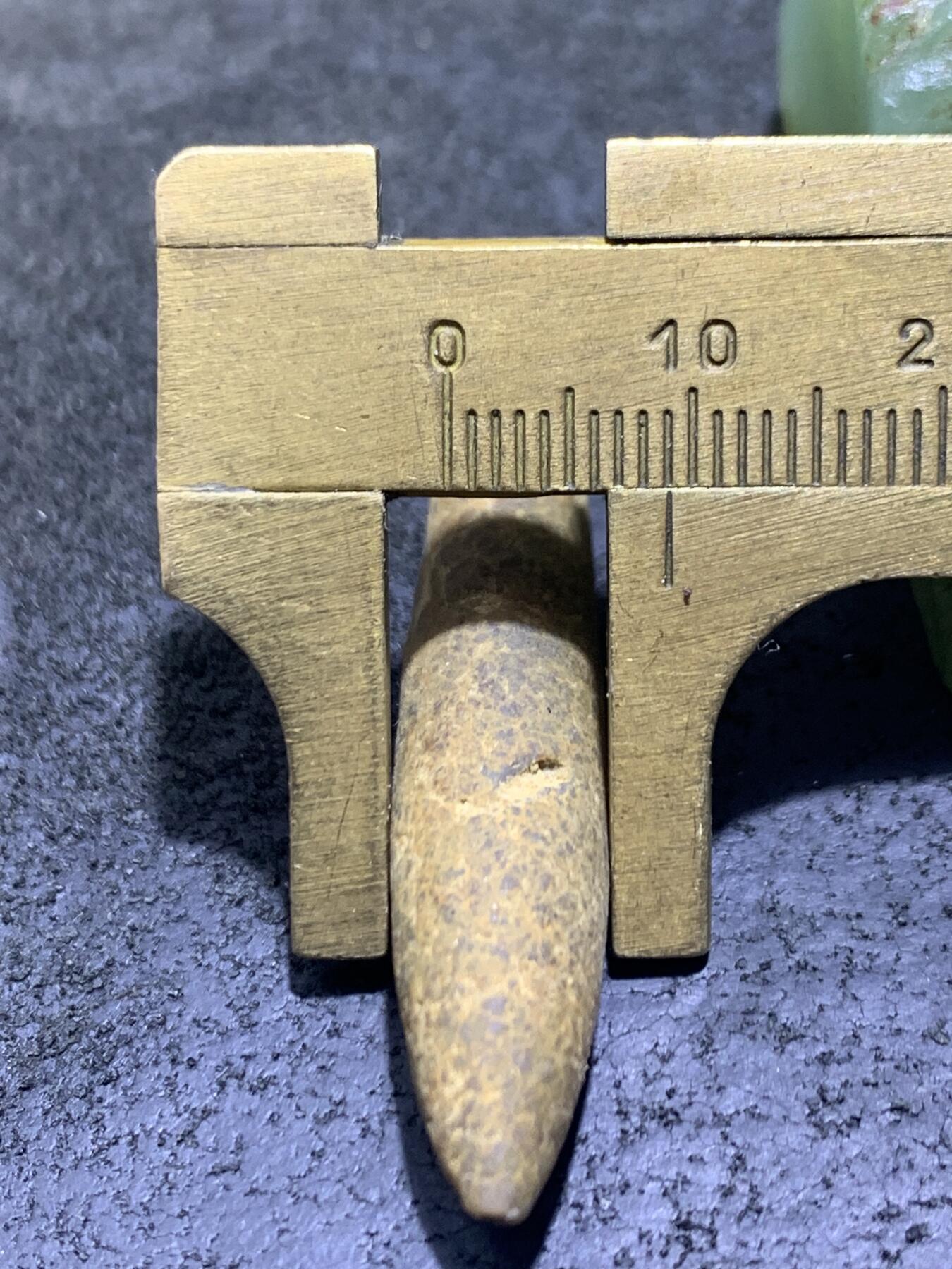精美天然箭石震笔石震旦角石喇叭角石古生物化石原石一颗，