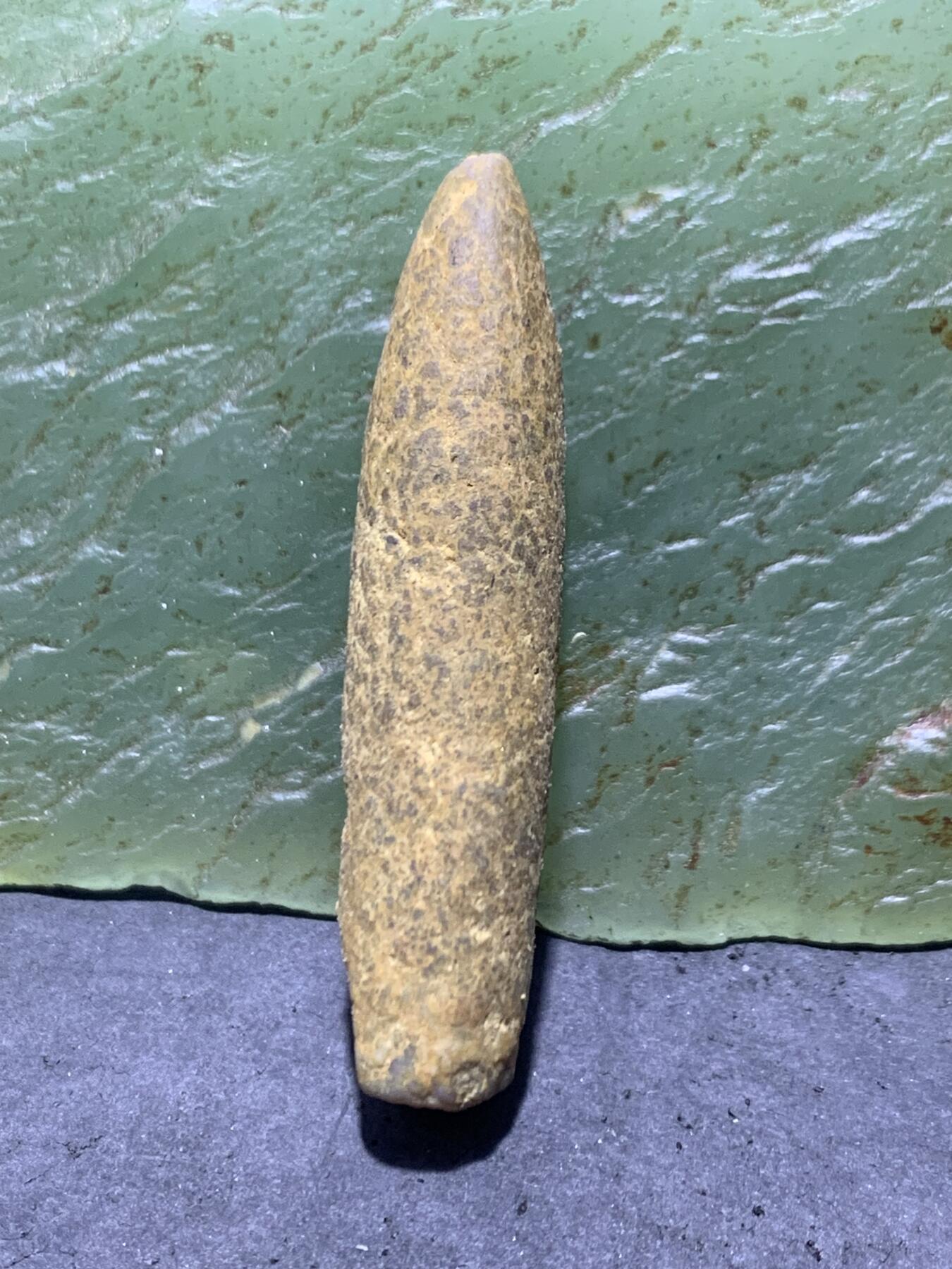 精美天然箭石震笔石震旦角石喇叭角石古生物化石原石一颗，