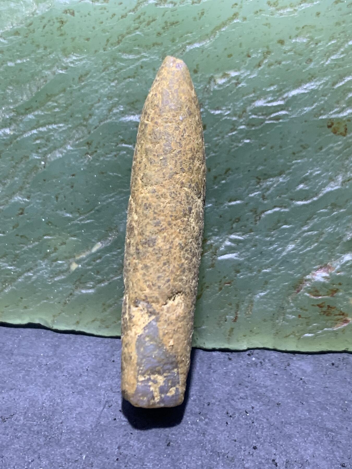 精美天然箭石震笔石震旦角石喇叭角石古生物化石原石一颗，